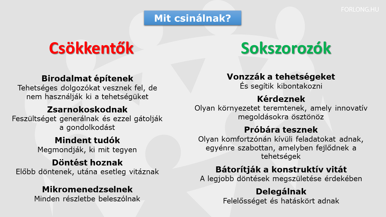 Milyen vezetői típus vagy - gyakorlatorientált vezetőképzés - FORLONG