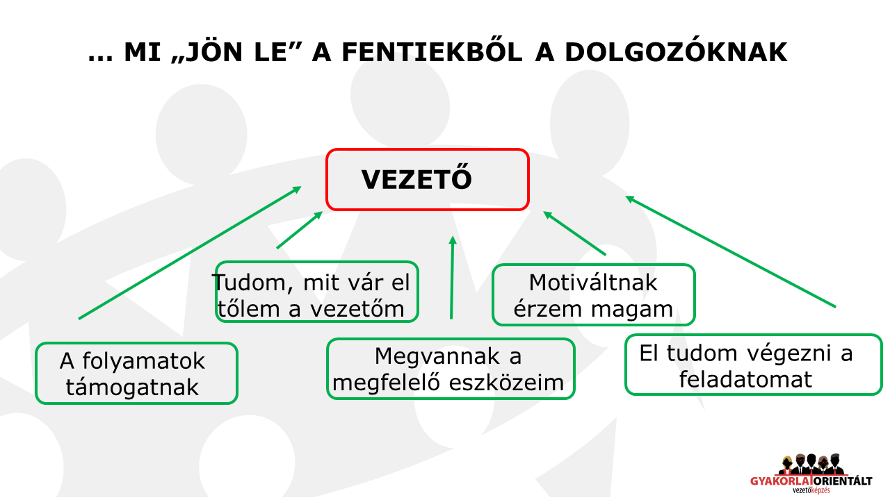 Rendíthetelen következetesség - csoportvezetők képzése