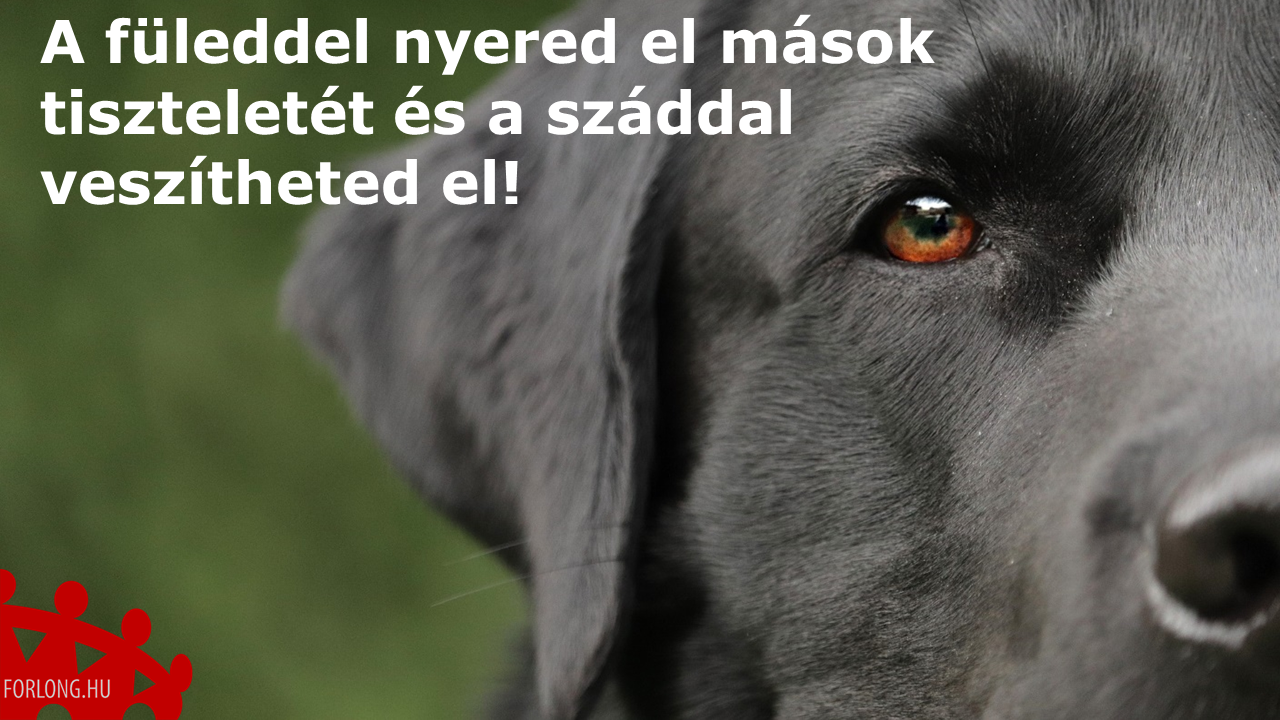 A füleddel nyered el mások tiszteletét és a száddal veszítheted el - vezetőképzés