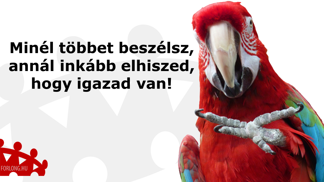 Minél többet beszélsz, annál inkább elhiszed, hogy igazad van vezetőképzés