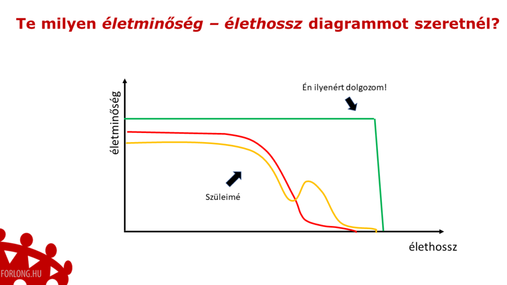 Életminőség - élethossz grafikon - vezetőképzés, erős vezető