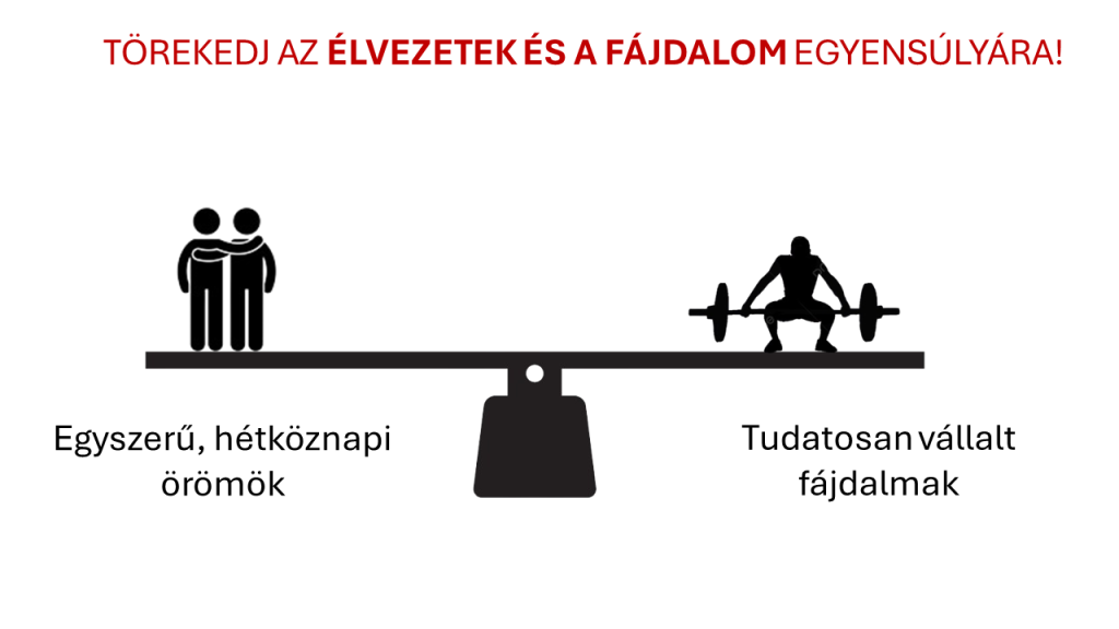 Fájdalom, élvezet, dopamin - vezetőképzés - törekedj az élvezetek és a fájdalom egyensúlyára