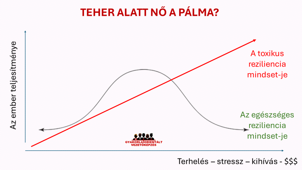 Toxikus reziliencia mindset - vezetőképzés - teher alatt nő a pálma