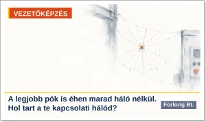 Középvezetői kompetencia: pókháló gyári gerenda és gépszekrény között, a kép szövege: a legjobb pók is éhen marad háló nélkül