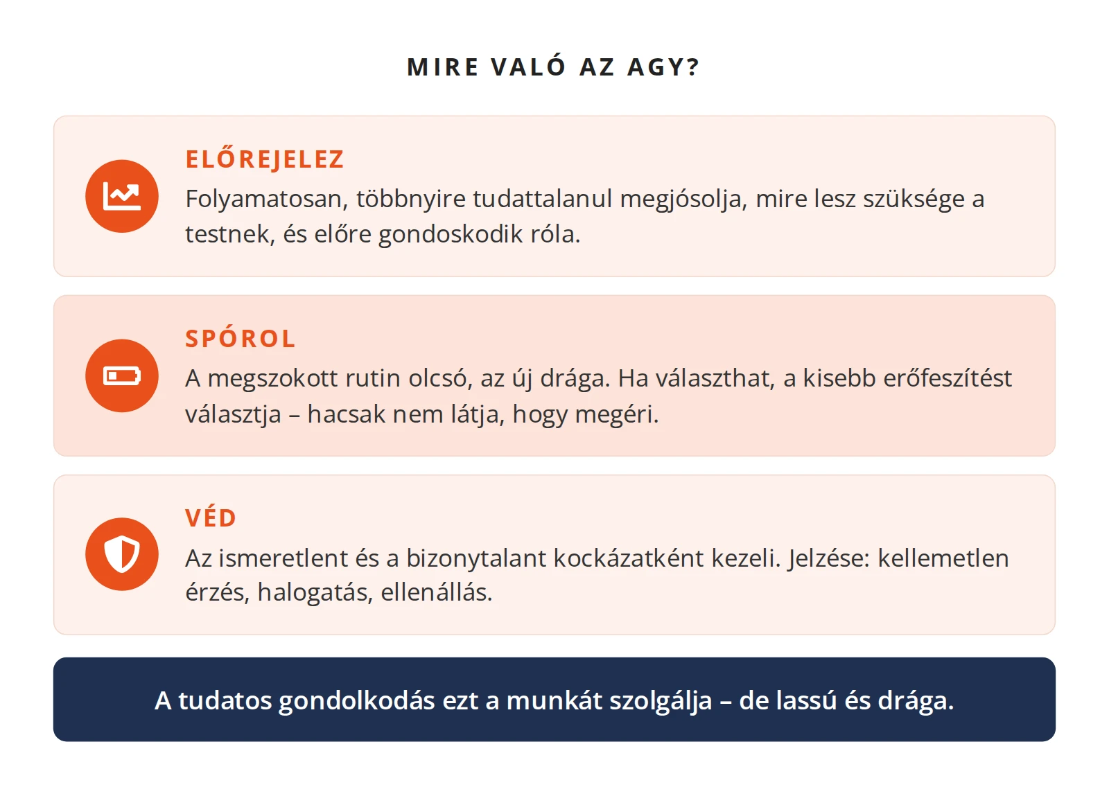Az agy három alapfeladata: előrejelez, spórol, véd. A tudatos gondolkodás ezt a munkát szolgálja, de lassú és drága.
