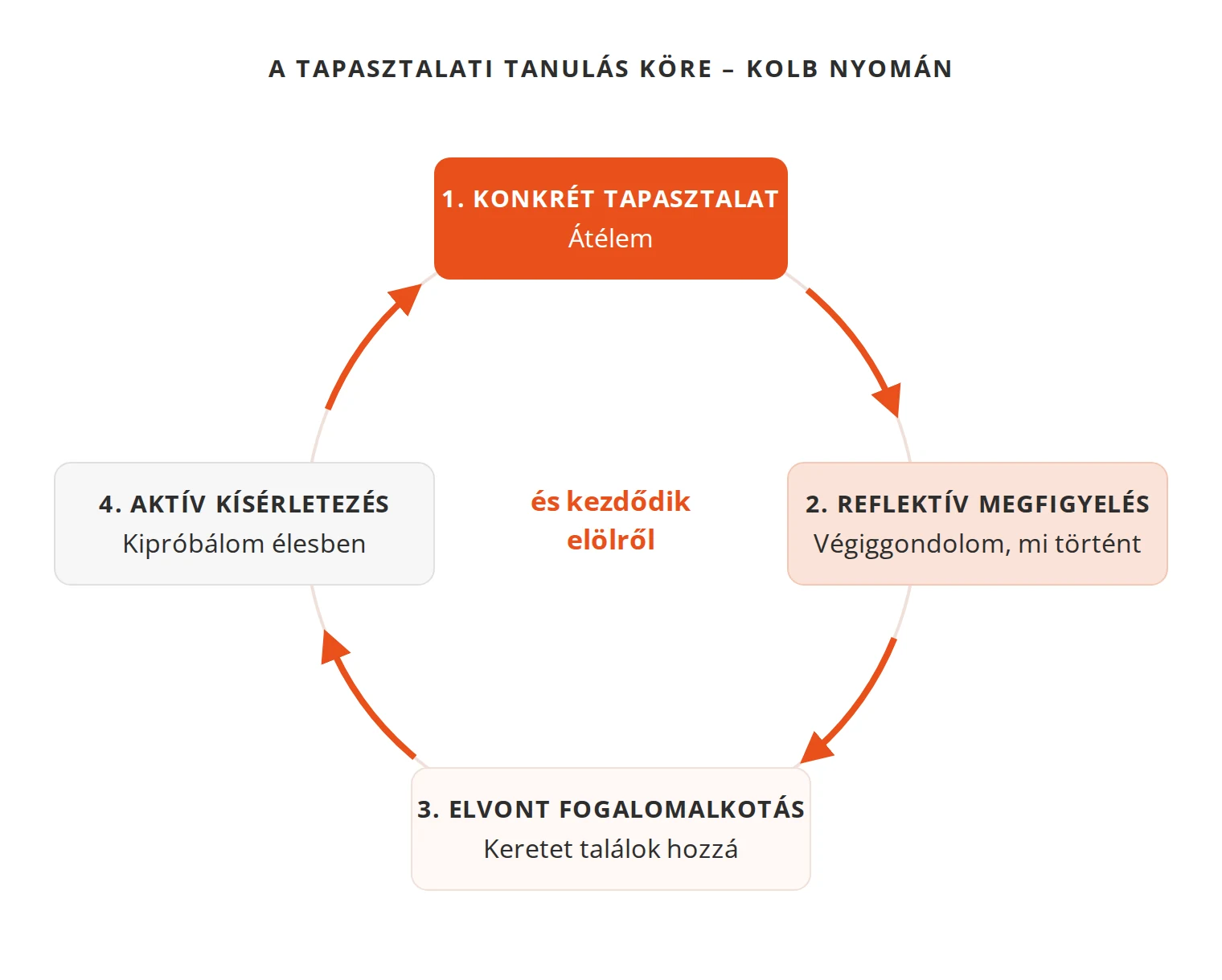 A tapasztalati tanulás köre Kolb nyomán: konkrét tapasztalat, reflektív megfigyelés, elvont fogalomalkotás, aktív kísérletezés, majd a kör kezdődik elölről.