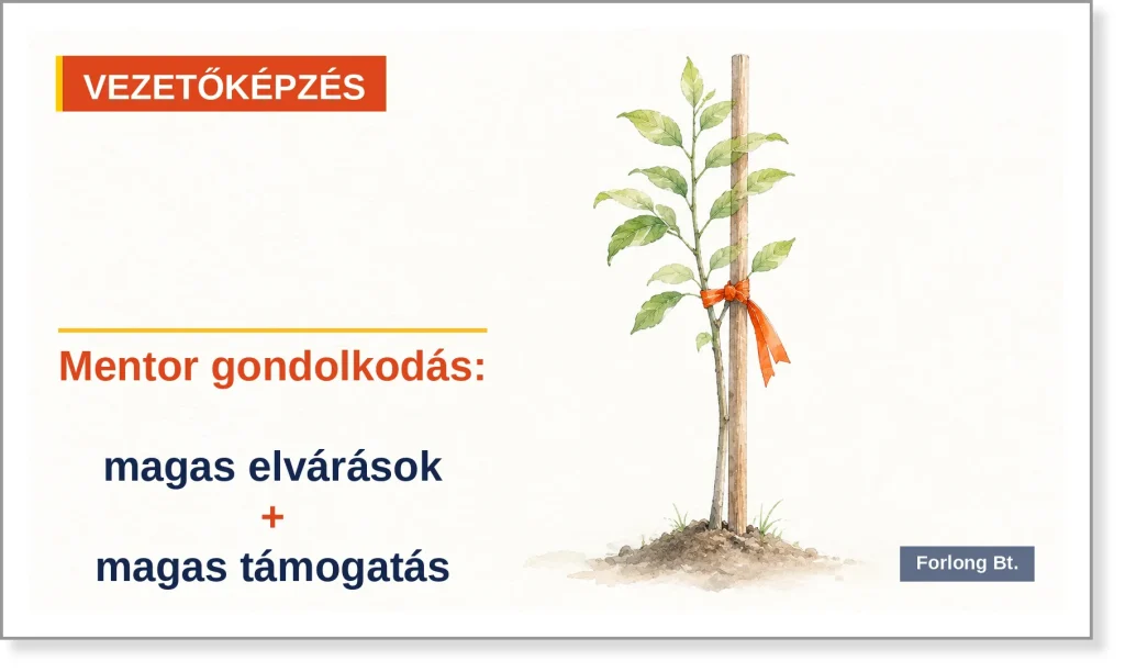 Fiatal csemete karóhoz kötve narancs szalaggal, mellette a felirat: mentor gondolkodás, magas elvárások és magas támogatás